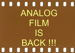 analog film is back